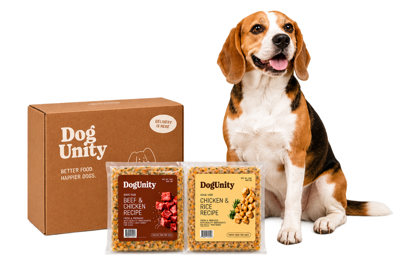 A happy dog with its fresh DogUnity meals and delivery box